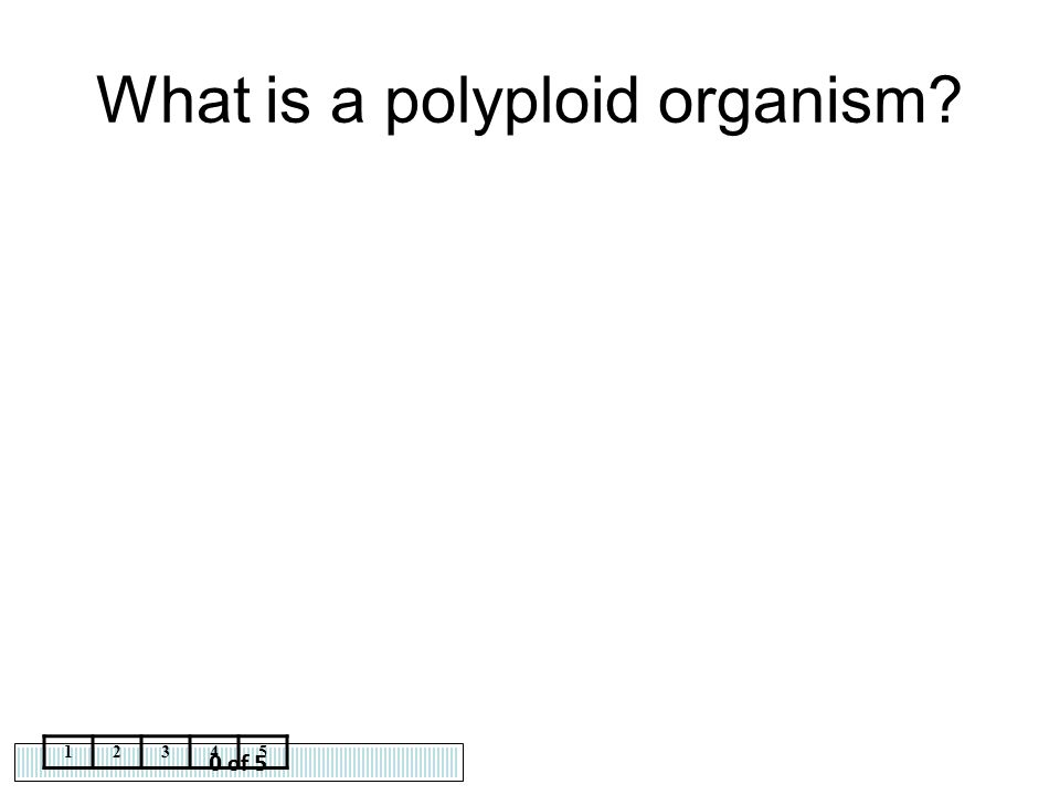 What is a polyploid organism