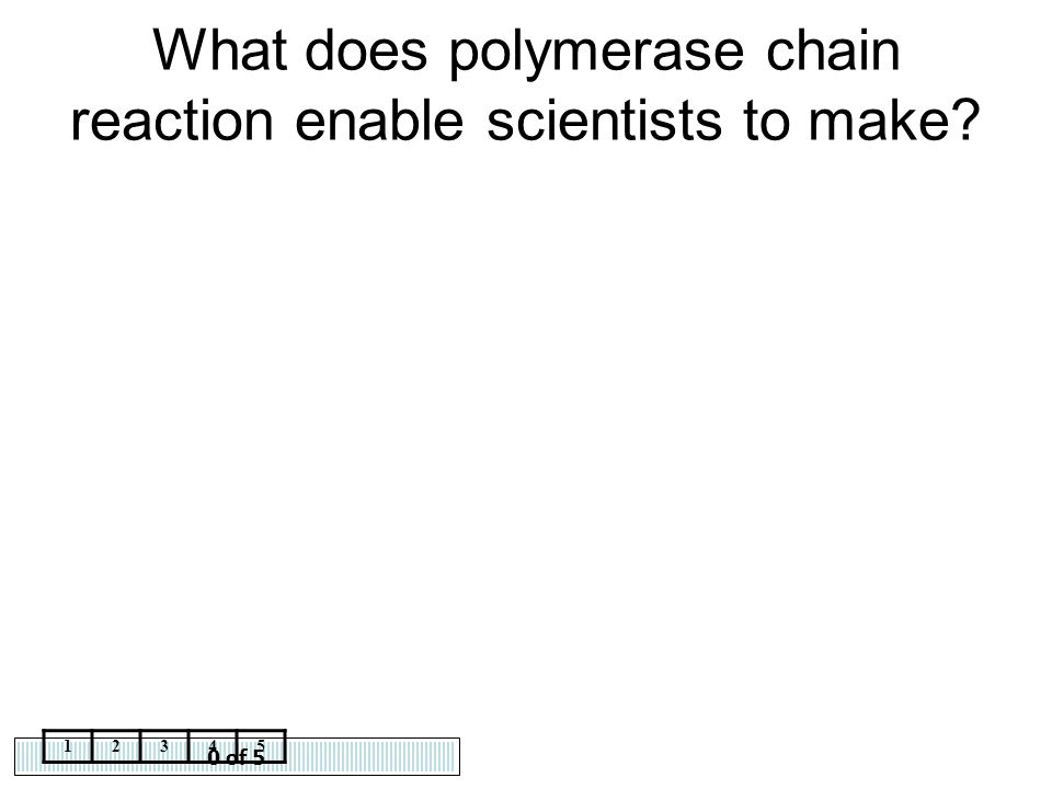What does polymerase chain reaction enable scientists to make