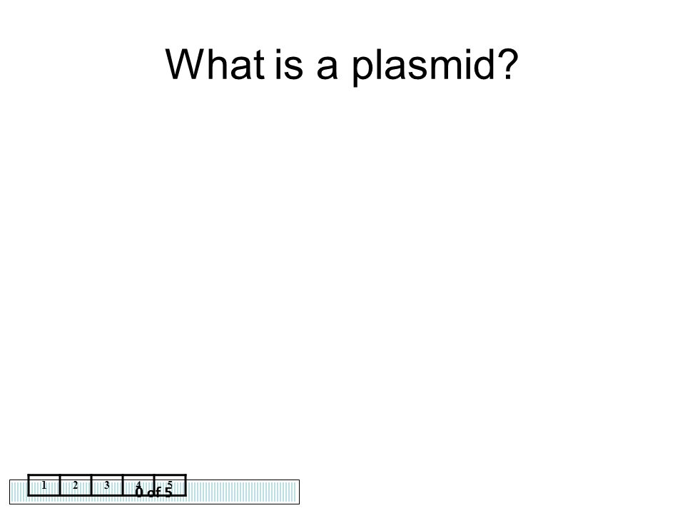 What is a plasmid of 5