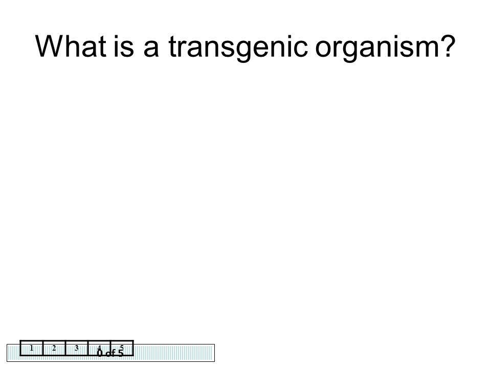 What is a transgenic organism