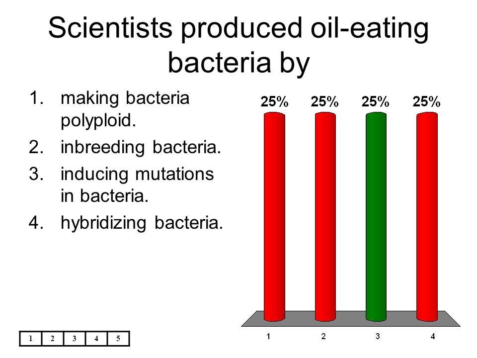 Scientists produced oil-eating bacteria by