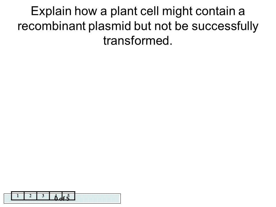 Explain how a plant cell might contain a recombinant plasmid but not be successfully transformed.