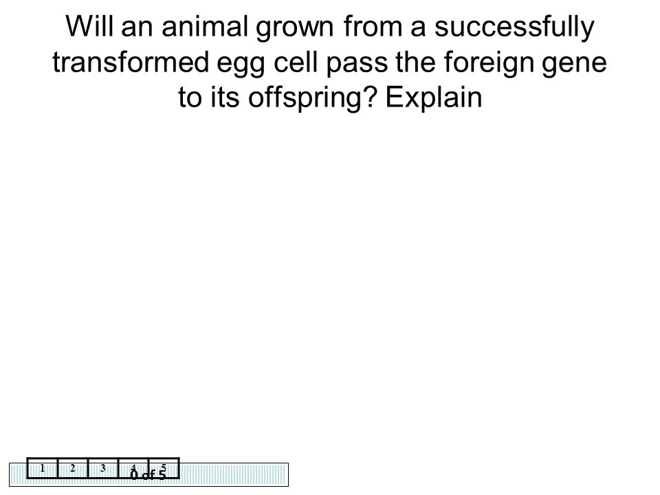 Will an animal grown from a successfully transformed egg cell pass the foreign gene to its offspring Explain