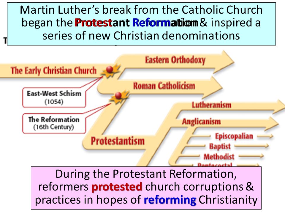 Protestant Reformation Chart Answers