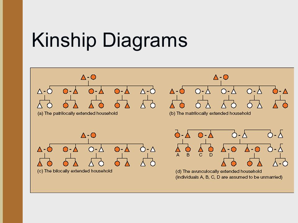 Kinship Diagrams Figure 8.2 Household forms (either here or after slide 19)