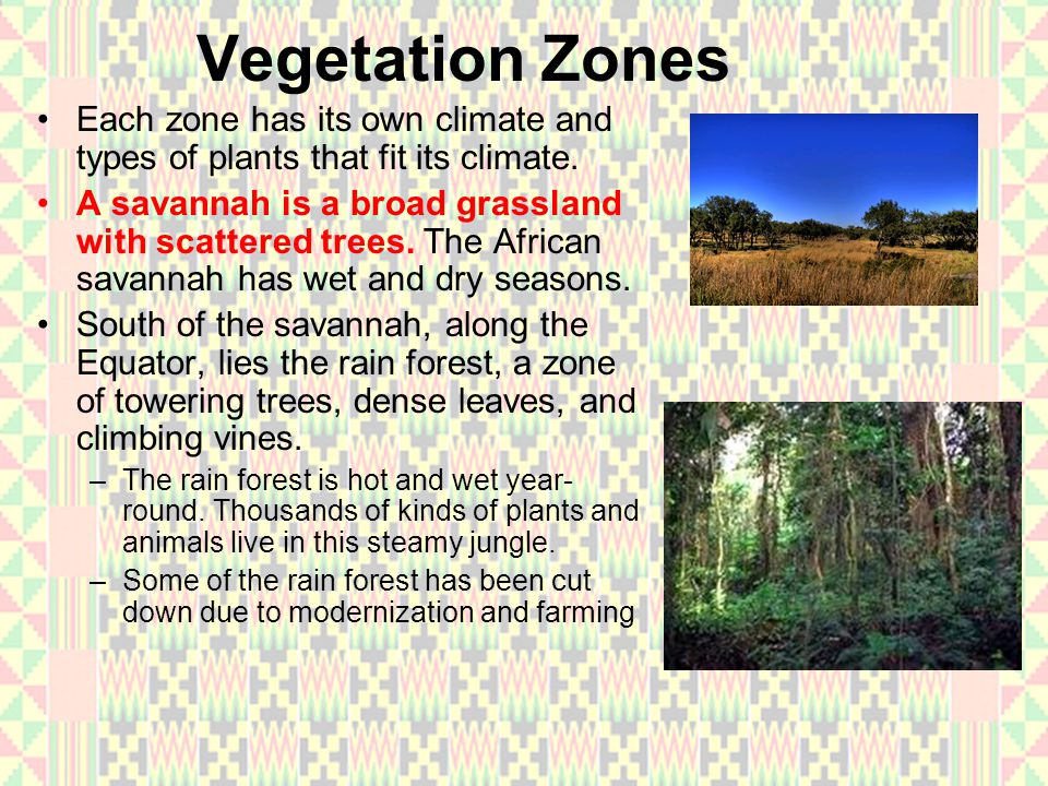 Vegetation Zones Each zone has its own climate and types of plants that fit its climate.