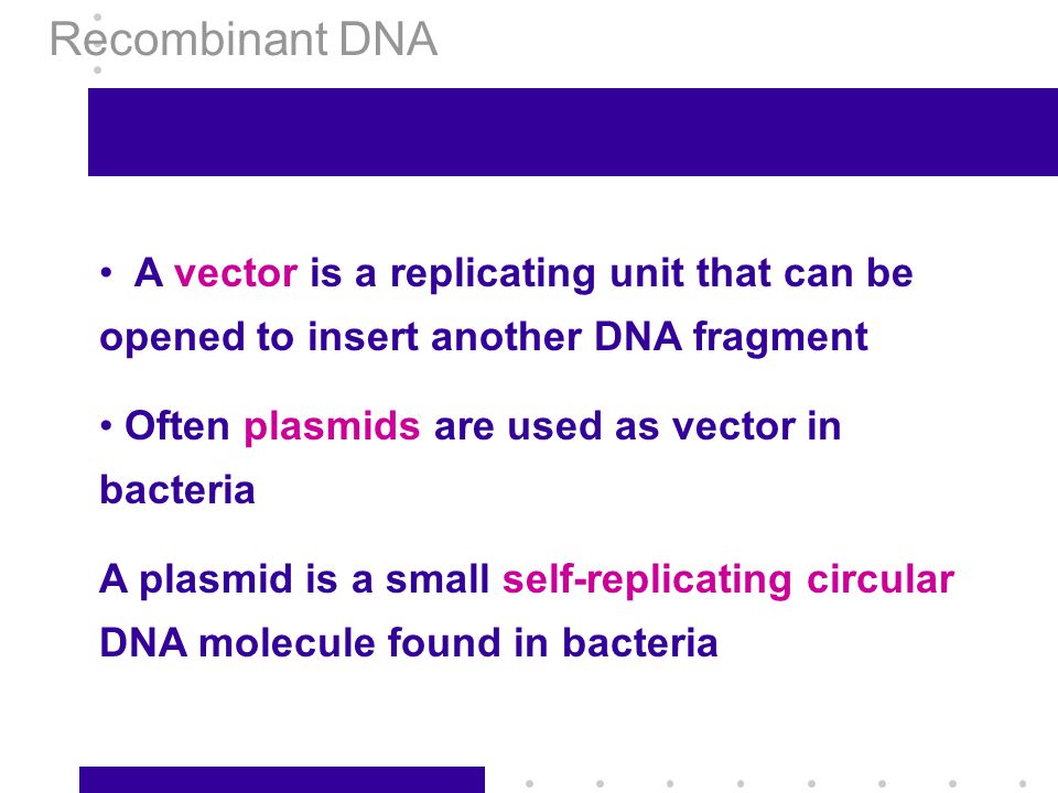Recombinant DNA A vector is a replicating unit that can be opened to insert another DNA fragment. Often plasmids are used as vector in bacteria.