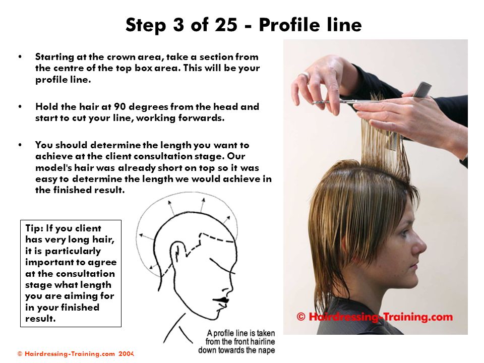 Female Haircuts Short Rounded Layers Ppt Video Online Download