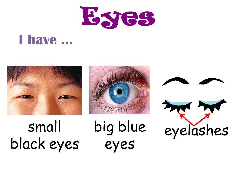 Eyes I have … small black eyes big blue eyes eyelashes