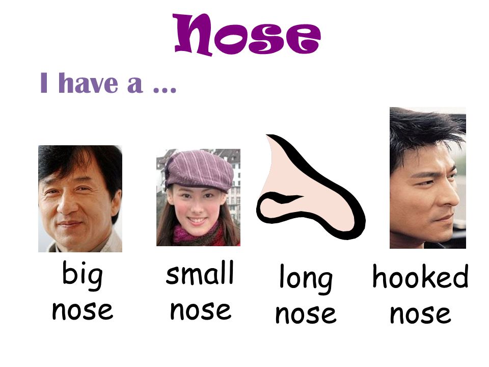 Nose I have a … big nose small nose long nose hooked nose