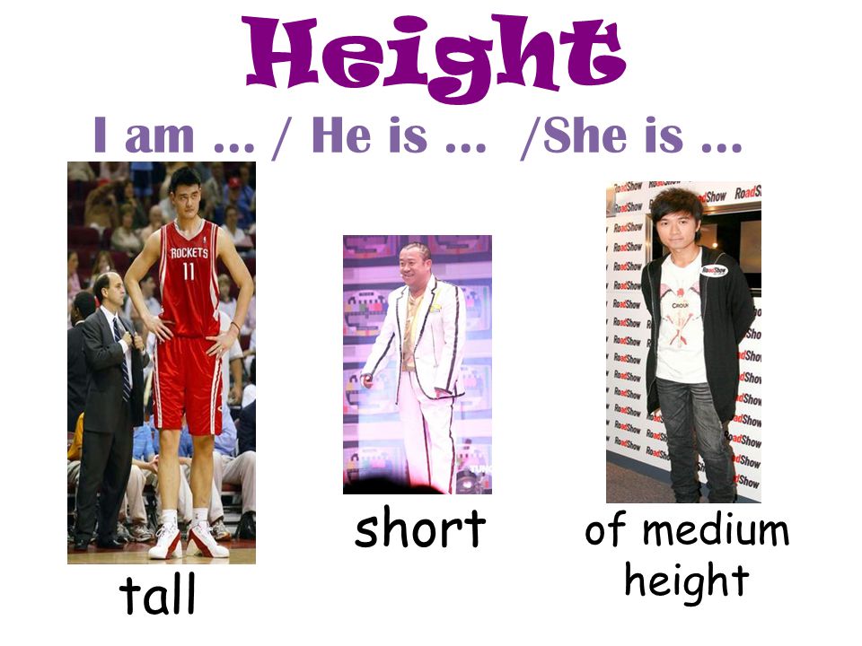 Height I am … / He is … /She is … short of medium height tall