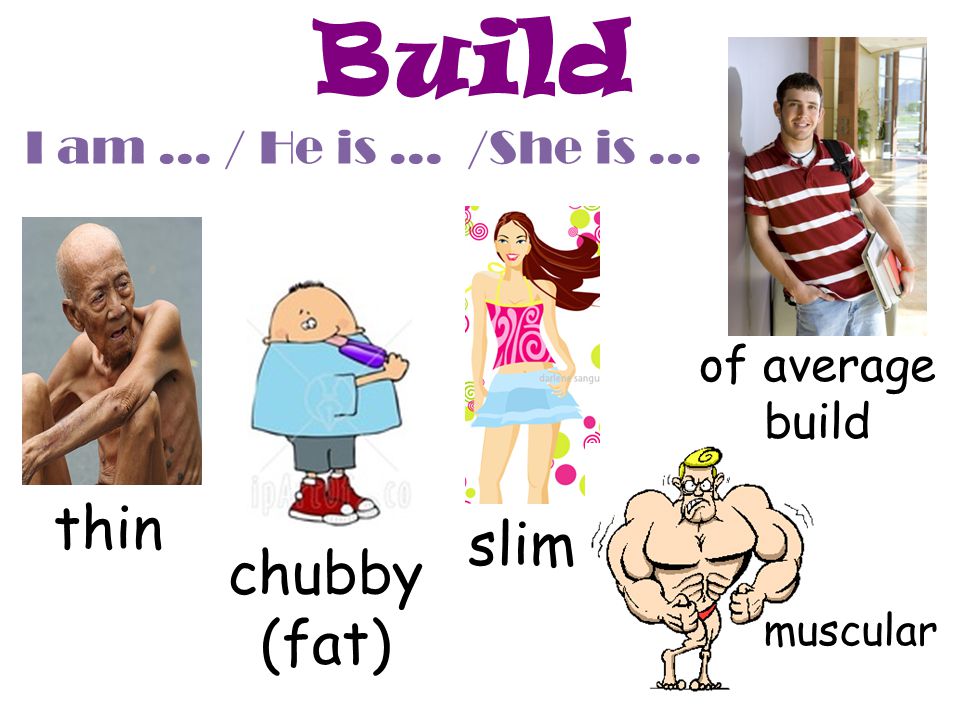 Build thin slim chubby (fat) I am … / He is … /She is …