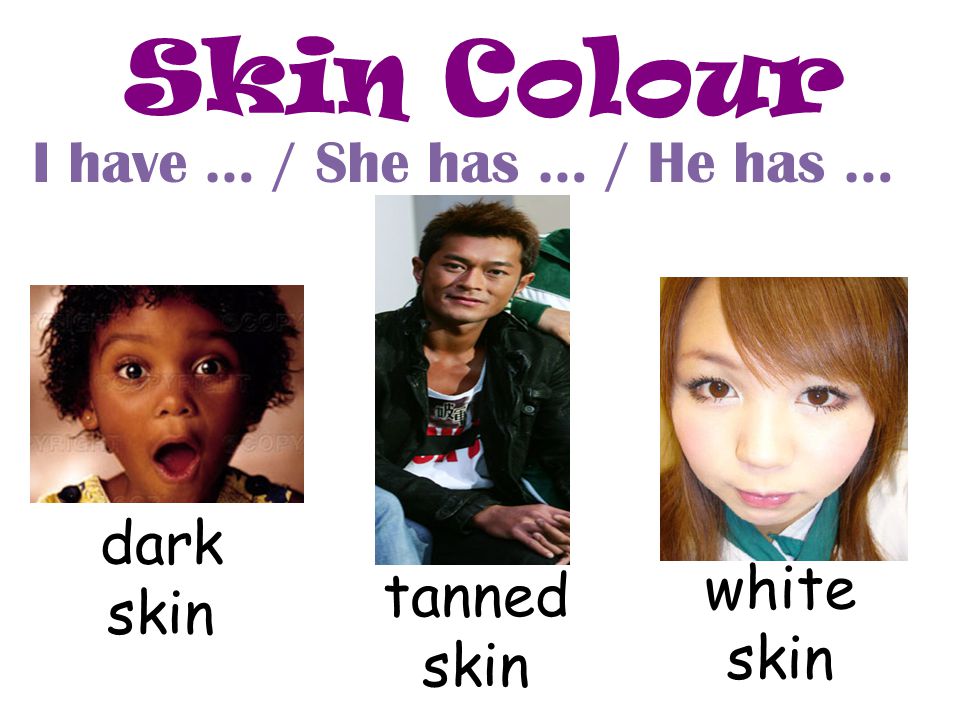 Skin Colour I have … / She has … / He has … dark skin white skin