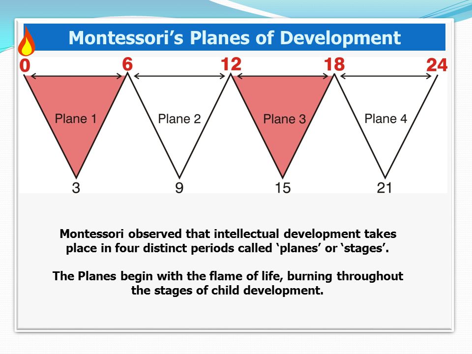 four planes of development by maria montessori