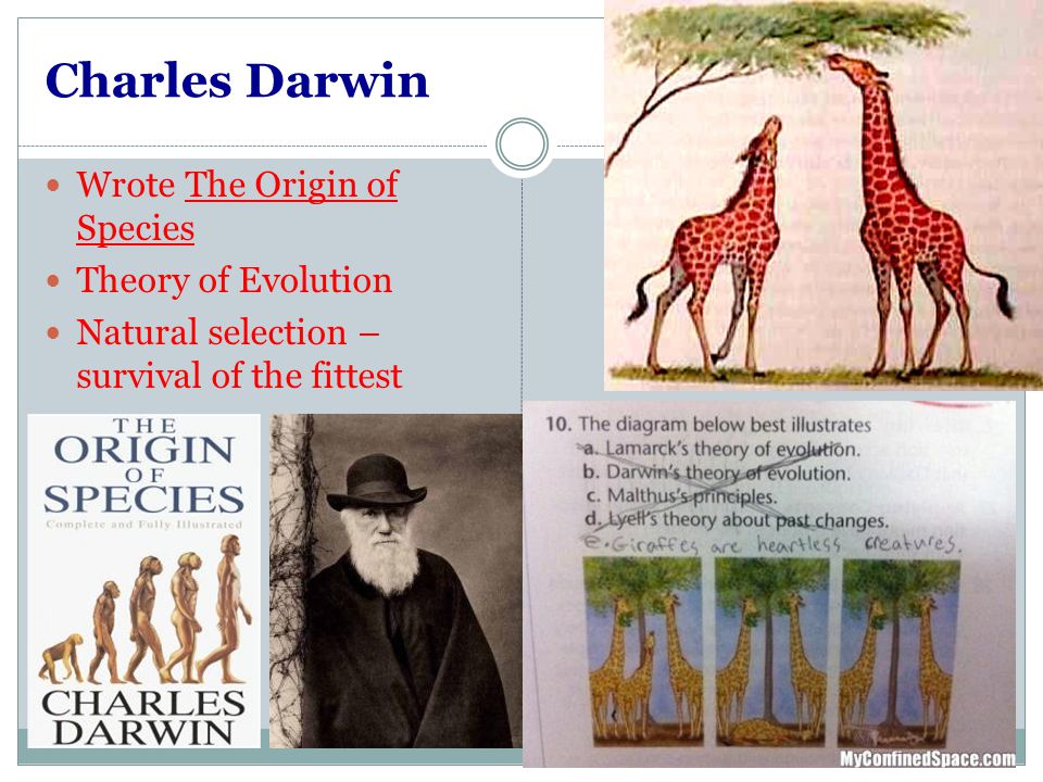 Charles Darwin Wrote The Origin of Species Theory of Evolution