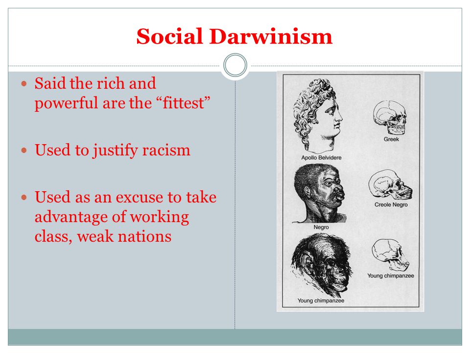 Social Darwinism Said the rich and powerful are the fittest