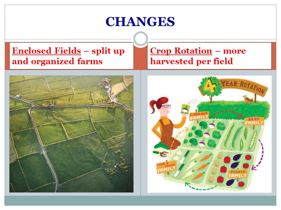 CHANGES Enclosed Fields – split up and organized farms