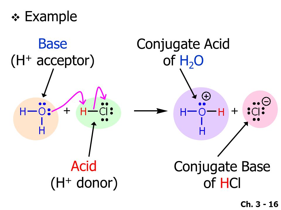 Conjugate Base. of H2O. of HCl. 