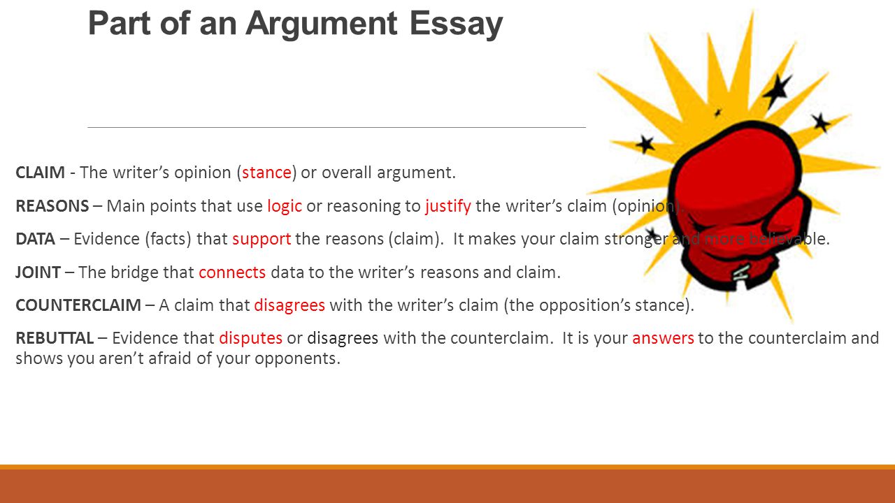 Part of an Argument Essay