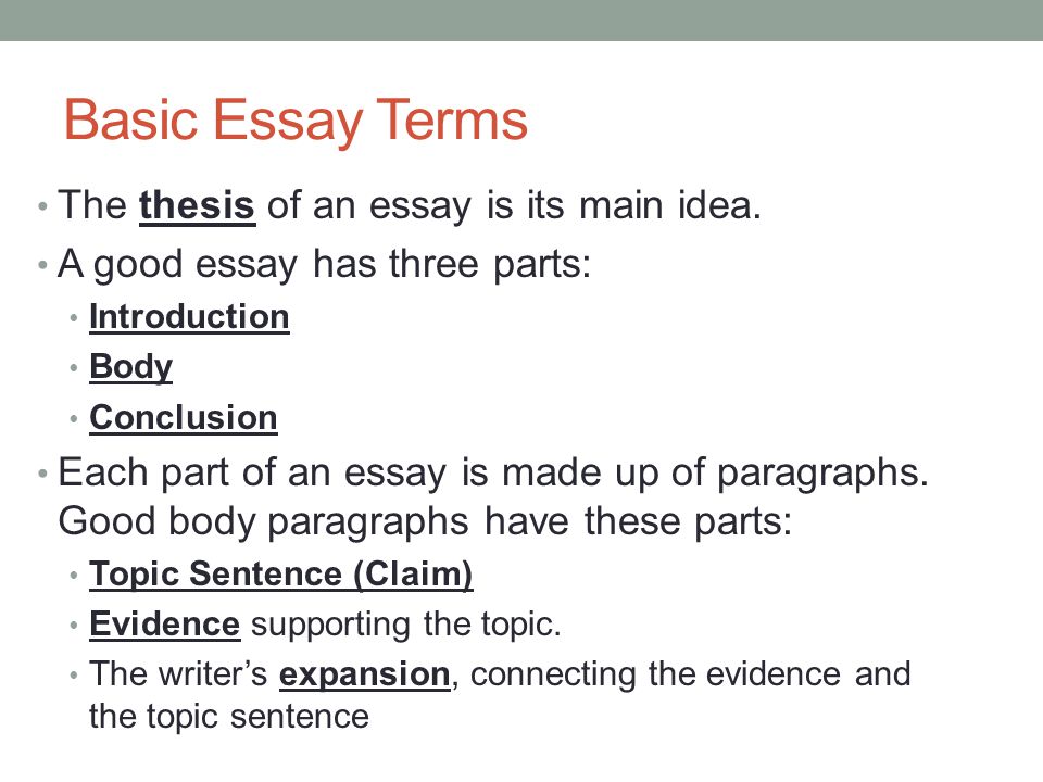 Basic Essay Terms The thesis of an essay is its main idea.