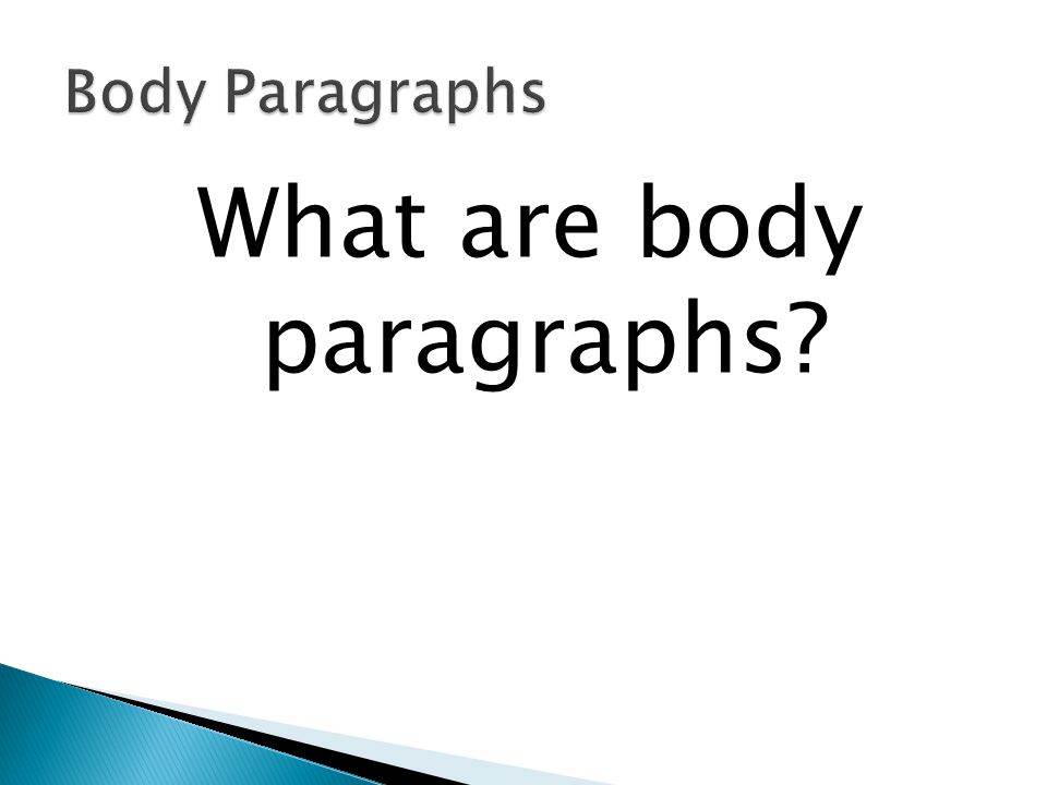 What are body paragraphs