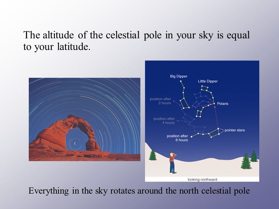 The altitude of the celestial pole in your sky is equal to your latitude.