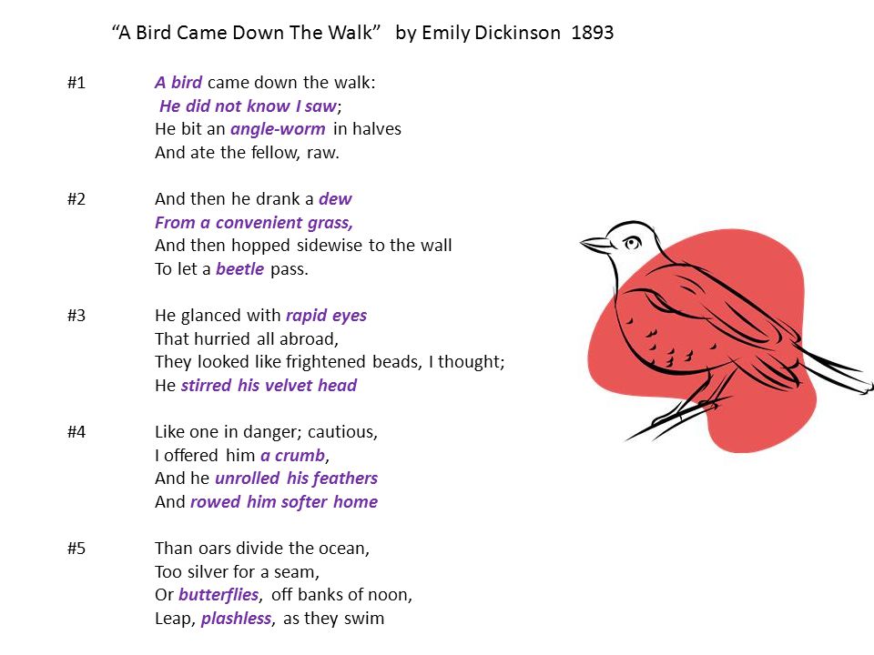Guided Highlighted Reading using poetry… - ppt video online download