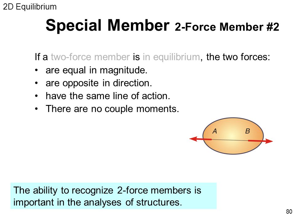 Special Member 2-Force Member #2