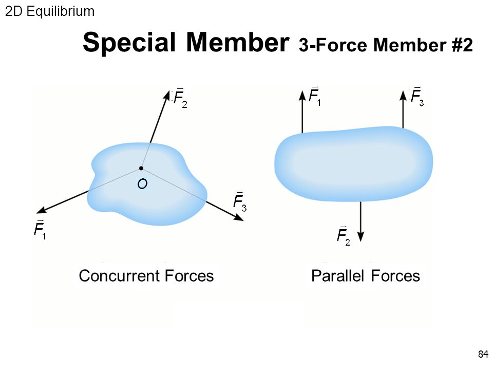 Special Member 3-Force Member #2
