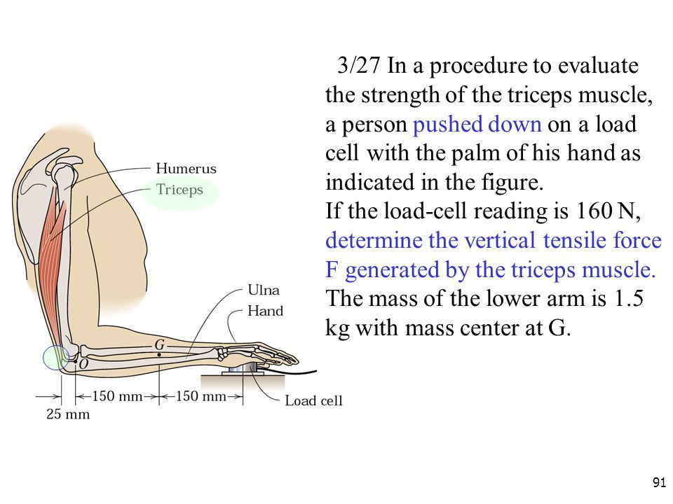3/27 In a procedure to evaluate the strength of the triceps muscle, a person pushed down on a load cell with the palm of his hand as indicated in the figure.
