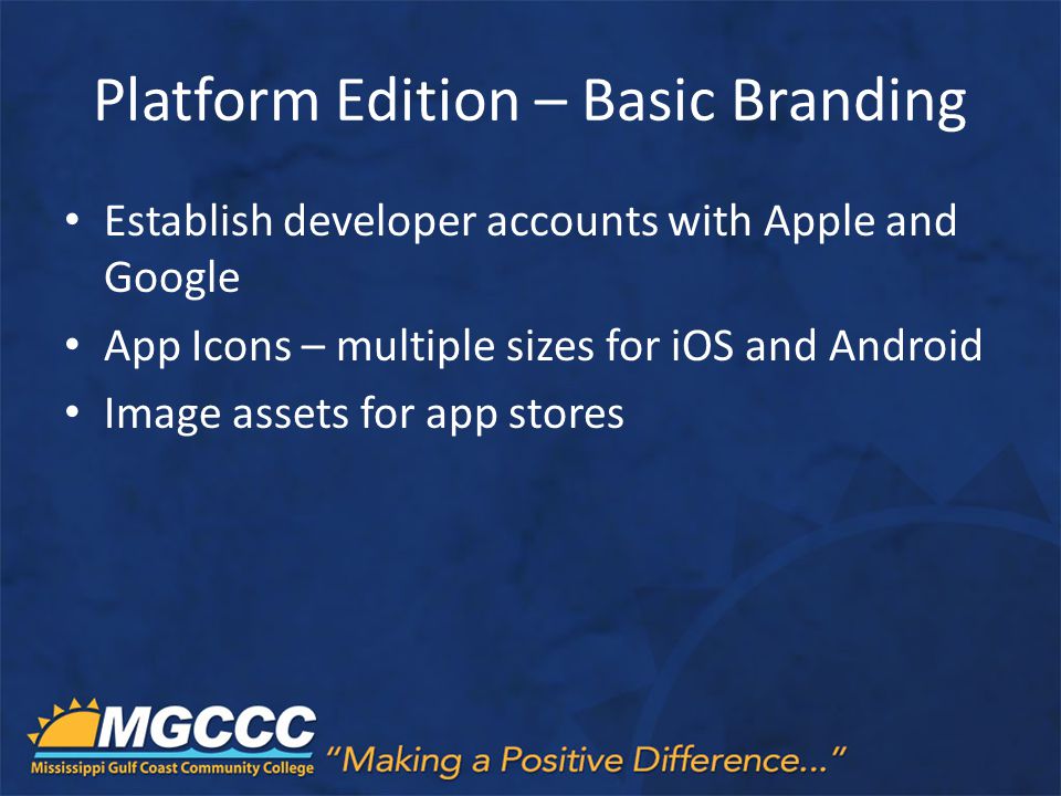 Platform Edition – Basic Branding