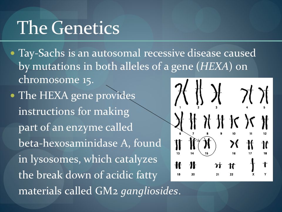 The Genetics Tay-Sachs is an autosomal recessive disease caused by mutations in both alleles of a gene (HEXA) on chromosome 15.