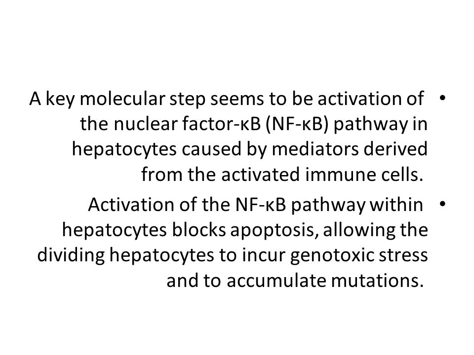 A key molecular step seems to be activation of the nuclear factor-κB (NF-κB) pathway in hepatocytes caused by mediators derived from the activated immune cells.