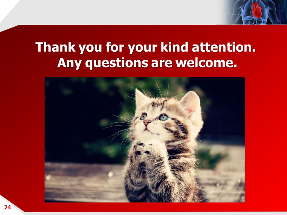 Thank you for your attention картинки для презентации