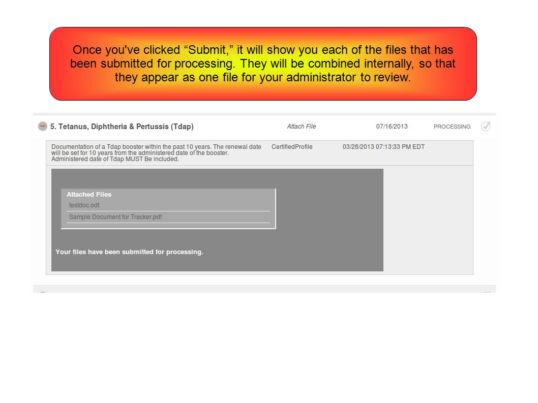 Once you ve clicked Submit, it will show you each of the files that has been submitted for processing.