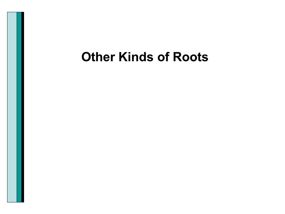Other Kinds of Roots