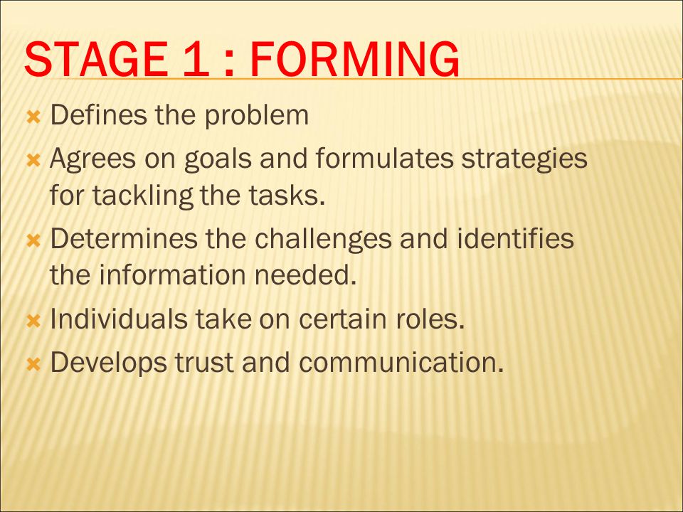 STAGE 1 : FORMING Defines the problem