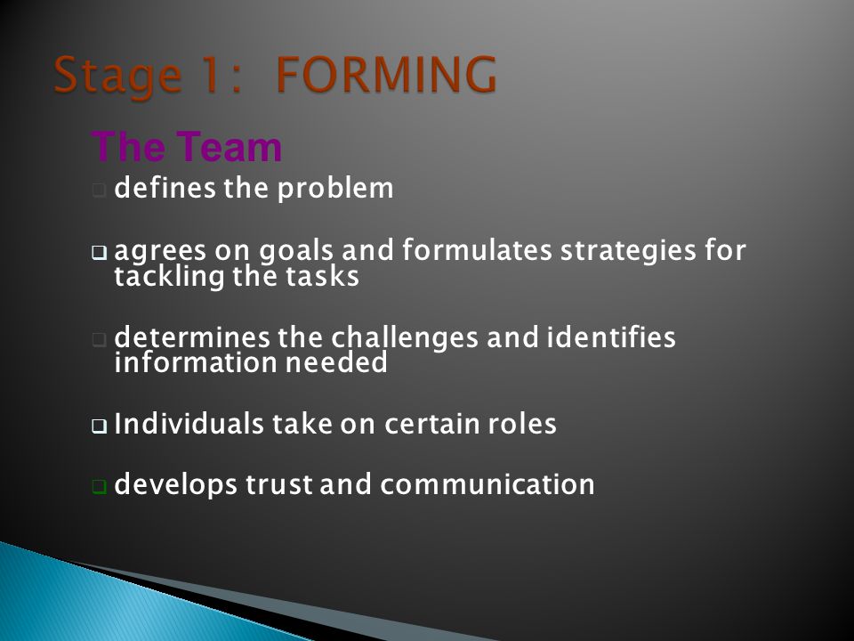 Stage 1: FORMING The Team defines the problem