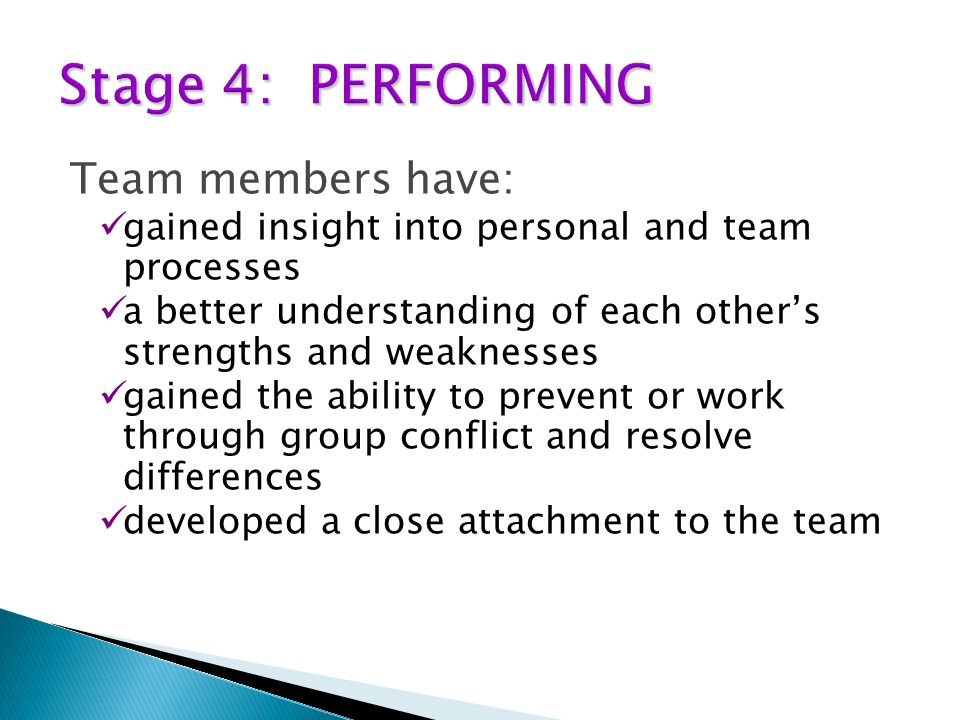 Stage 4: PERFORMING Team members have: