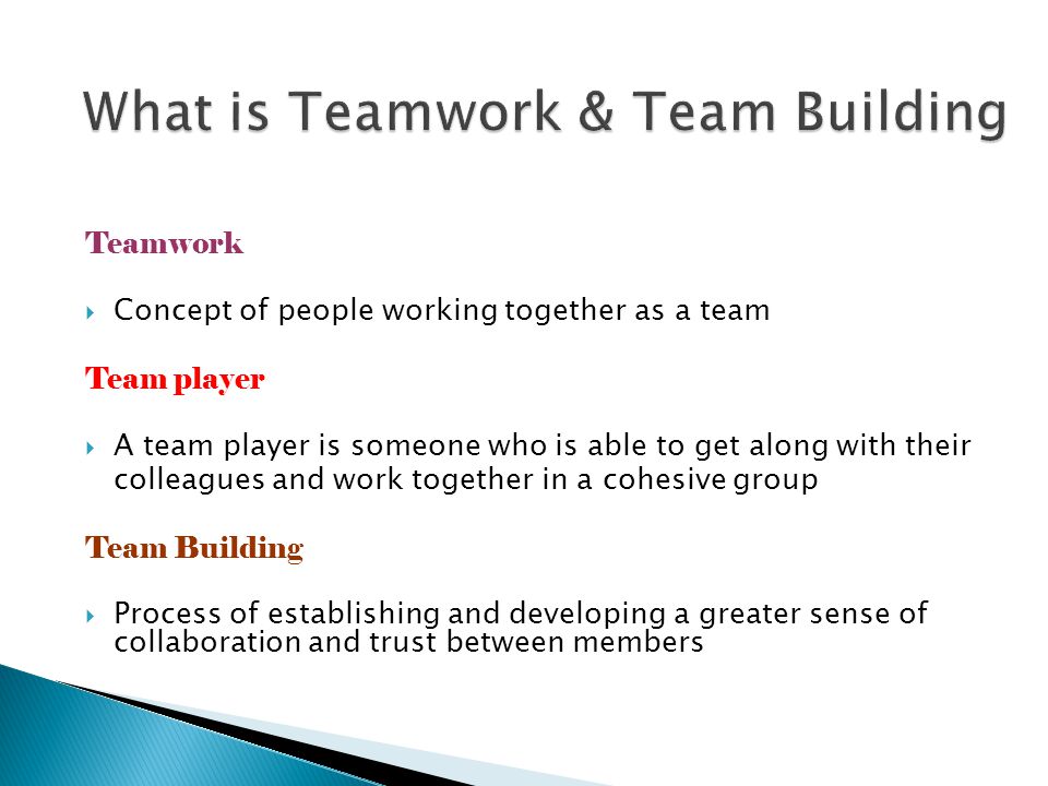 What is Teamwork & Team Building