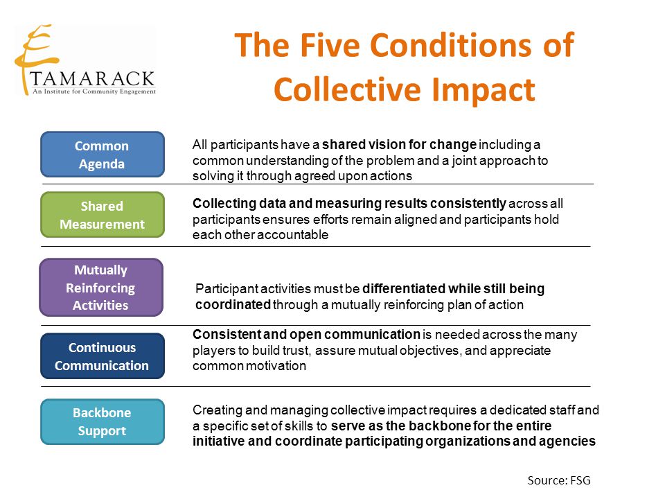 The Five Conditions of Collective Impact
