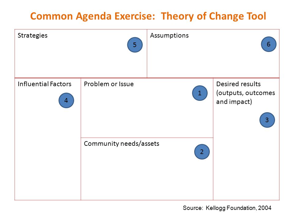 Common Agenda Exercise: Theory of Change Tool