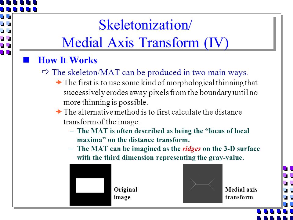 Morphology. - ppt download