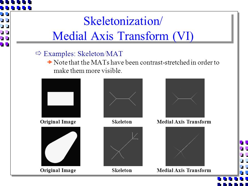 Morphology. - ppt download