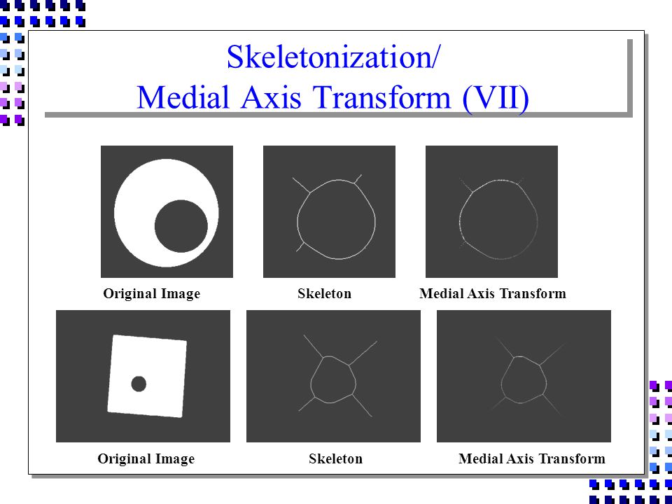 Morphology. - ppt download