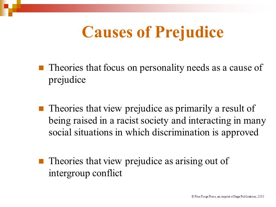 Causes of Prejudice Theories that focus on personality needs as a cause of prejudice.