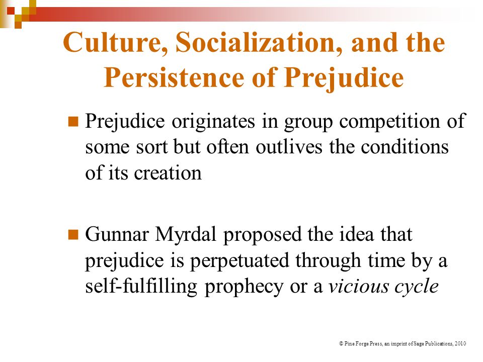 Culture, Socialization, and the Persistence of Prejudice