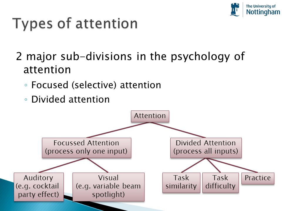 Attention предложения. Attention Psychology. Types of attention. Properties of attention Psychology. Types of attention in Psychology.