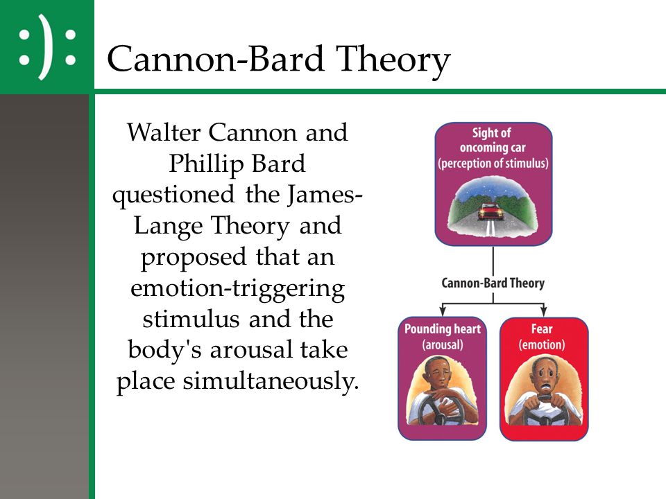 cannon bard theory example