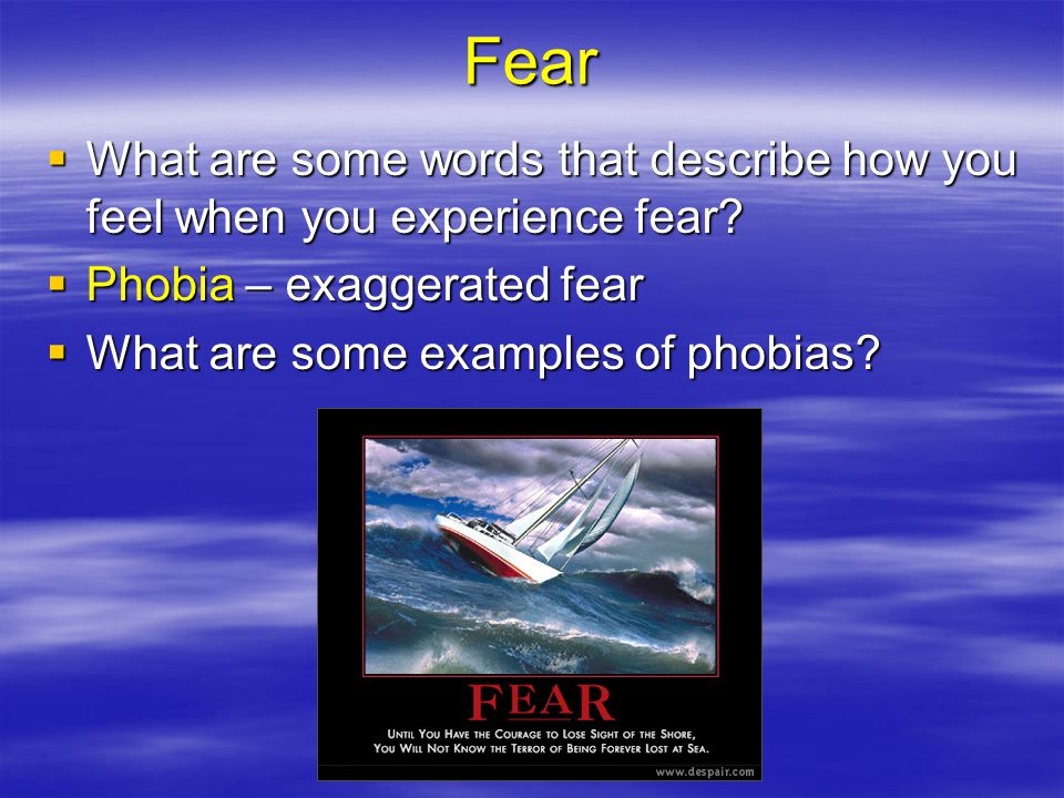 Fear What are some words that describe how you feel when you experience fear Phobia – exaggerated fear.